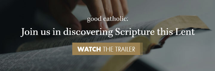 Good Catholic - How to Read the Bible